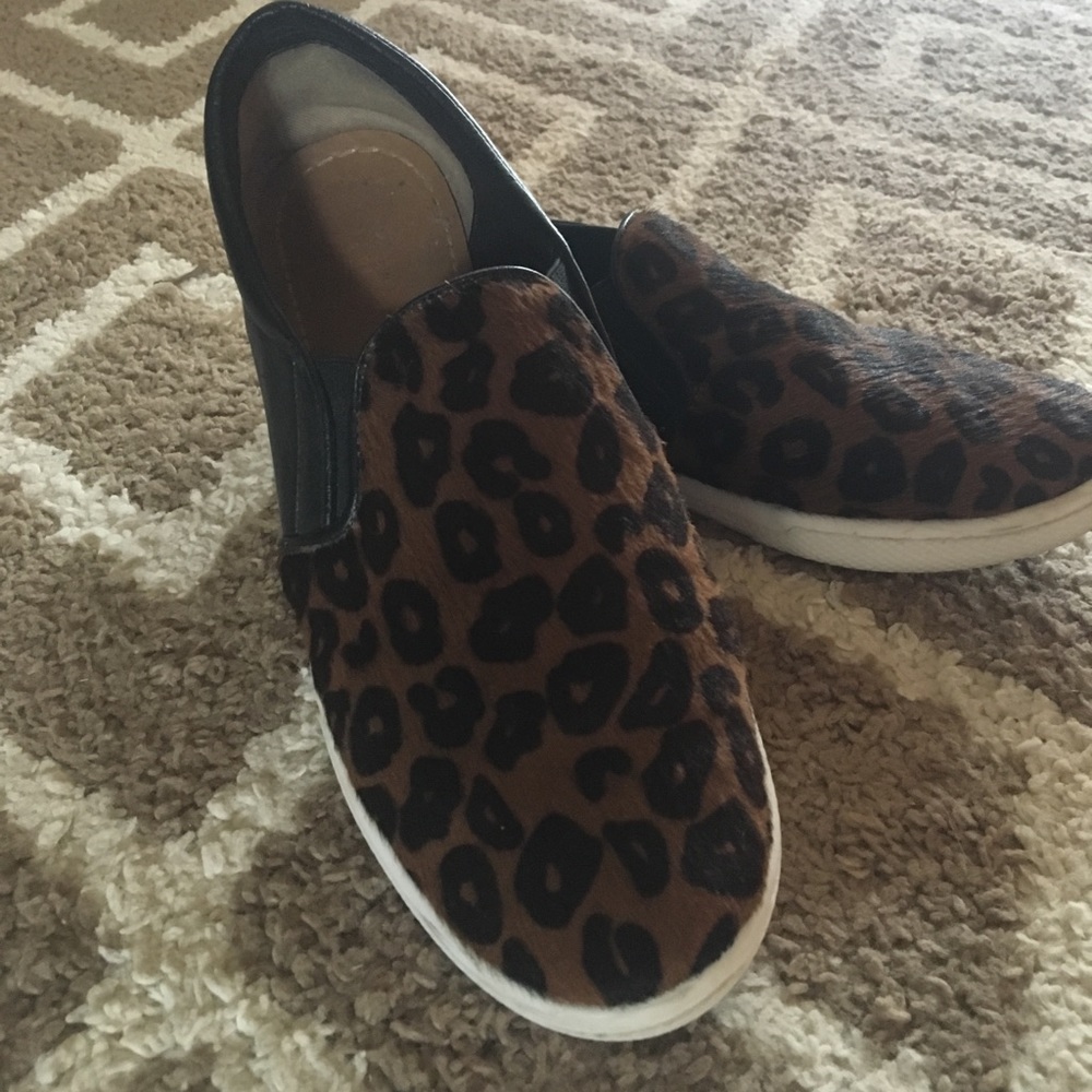 Leopard Kaanas